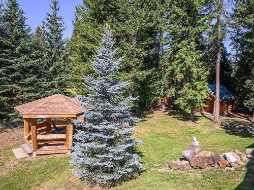 41 Lakeview Drive, Clearwater, BC - Outdoor