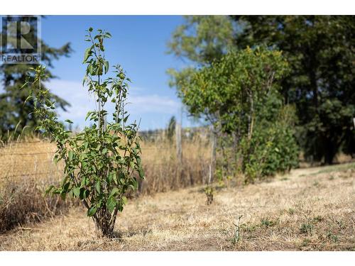 6390 Dixon Dam Road, Vernon, BC - Outdoor With View