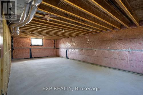 209 Merritt Court, North Middlesex (Parkhill), ON - Indoor Photo Showing Basement