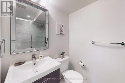 740 Rayner Court, Milton, ON - Indoor Photo Showing Bathroom