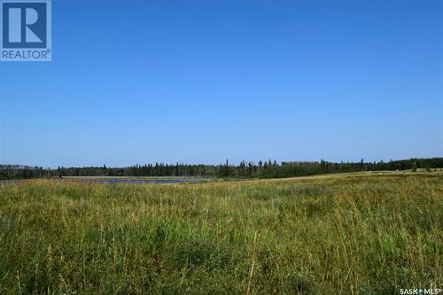 300 South Shore Estates, Paddockwood Rm No. 520, SK 