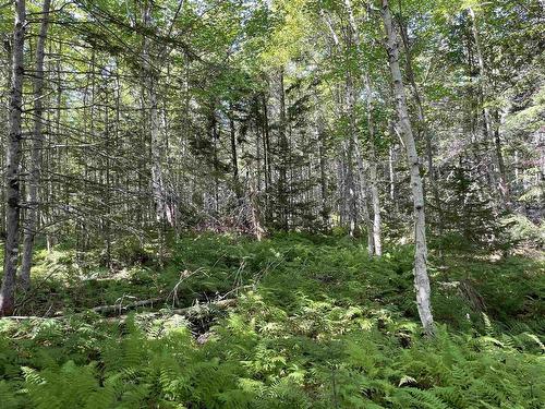 Lot 1F 0 Marble Mountain Road, Big Harbour, NS 