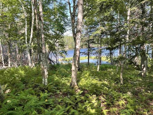 Lot 1F 0 Marble Mountain Road, Big Harbour, NS 