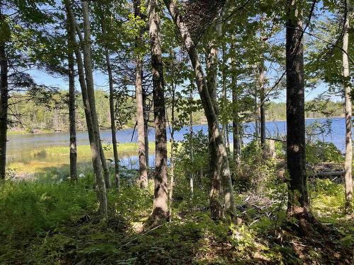 Lot 1F 0 Marble Mountain Road, Big Harbour, NS 