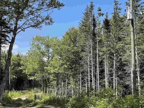 Lot 1F 0 Marble Mountain Road, Big Harbour, NS 