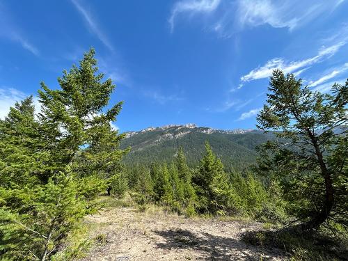 Null White Ram Forest Service Road, Skookumchuck, BC - Outdoor With View