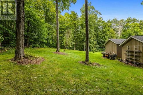 477 French Settlement Road, Tweed, ON - Outdoor