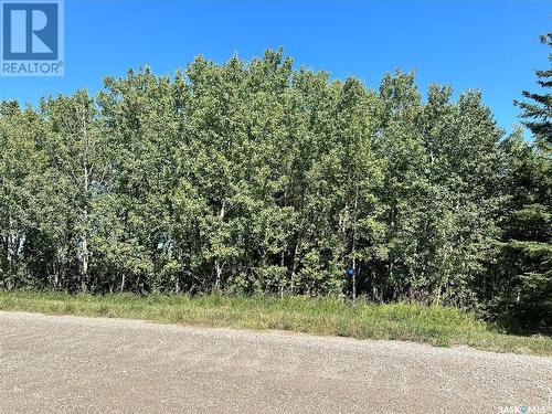 137 Parkview Road, Lucien Lake, SK 