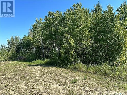 137 Parkview Road, Lucien Lake, SK 