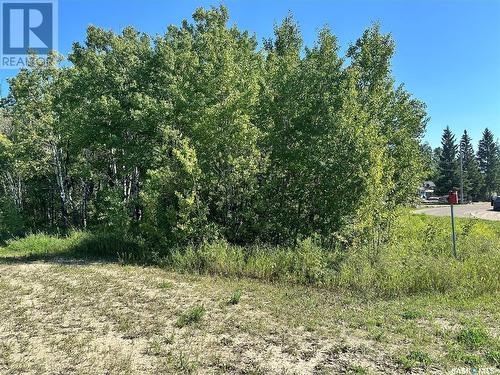 137 Parkview Road, Lucien Lake, SK 