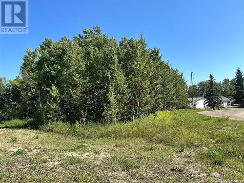 137 Parkview Road, Lucien Lake, SK 