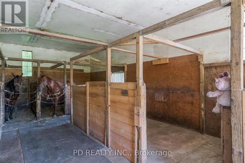 506 Cedar Glen Road, Kawartha Lakes, ON - Indoor With Storage