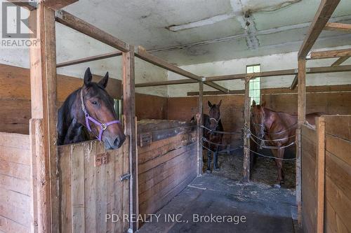 506 Cedar Glen Road, Kawartha Lakes, ON - Indoor