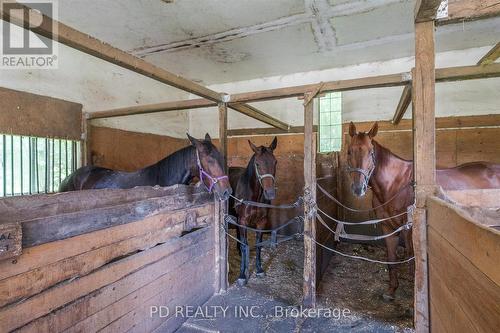 506 Cedar Glen Road, Kawartha Lakes, ON - Indoor