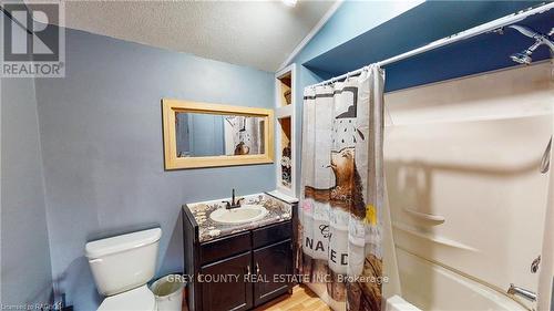 305771 South Line A Road, Grey Highlands, ON - Indoor Photo Showing Bathroom