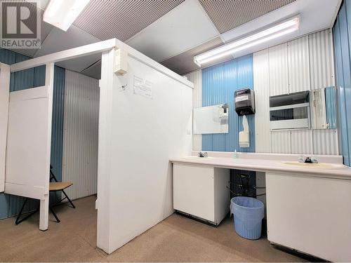 2435 E 16 Highway, Mcbride, BC - Indoor Photo Showing Bathroom