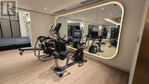 236 - 1100 Sheppard Avenue W, Toronto (York University Heights), ON - Indoor Photo Showing Gym Room