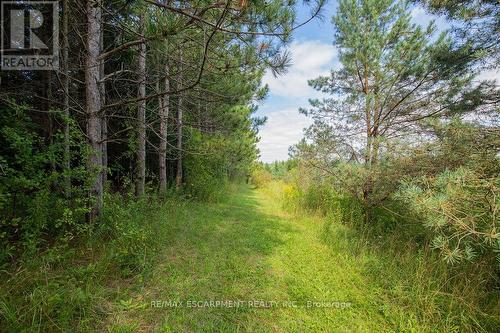 5101 Jones Baseline Road, Guelph/Eramosa, ON - Outdoor With View