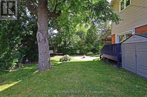 22 Sedgewick Crescent, Toronto (Ionview), ON - Outdoor