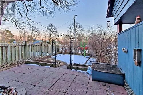 361 Paliser S Crescent, Richmond Hill (Harding), ON - Outdoor