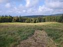 Lot 2 Cabot Trail, Margaree Harbour, NS 