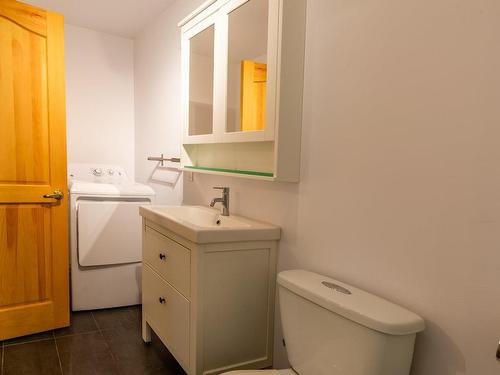 Salle de bains - 102 Ch. Du Lac-Clair, Saint-Alban, QC - Indoor Photo Showing Laundry Room