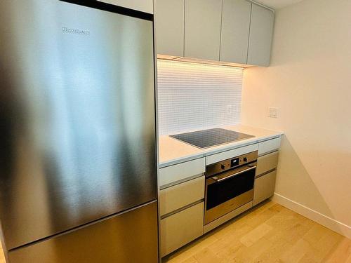 Cuisine - 3701-1245 Rue De Bleury, Montréal (Ville-Marie), QC - Indoor Photo Showing Kitchen