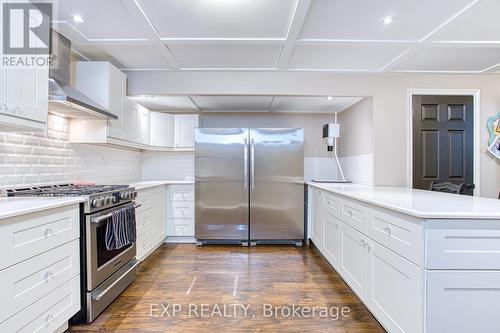 56 Nanaimo Crescent, Hamilton, ON - Indoor Photo Showing Kitchen With Upgraded Kitchen