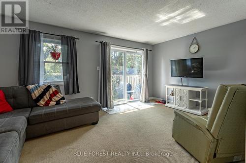 453 Wilkins Street, London, ON - Indoor Photo Showing Living Room