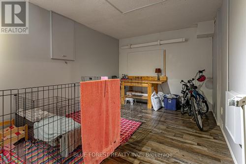 453 Wilkins Street, London, ON - Indoor Photo Showing Other Room