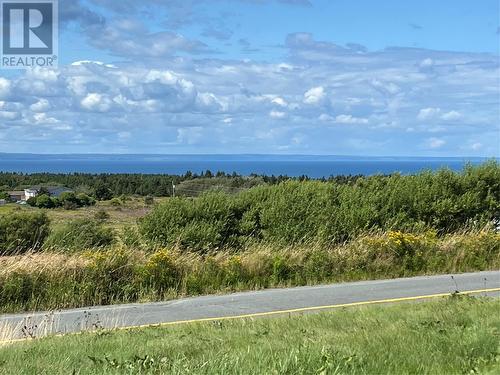 60 Quigley'S Line, Bell Island, NL - Outdoor With View