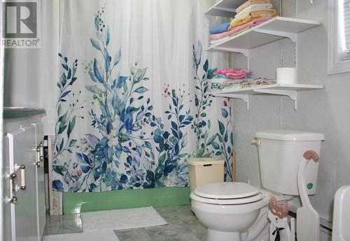 238 Main Street, Trout River, NL - Indoor Photo Showing Bathroom