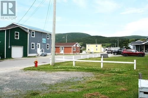 238 Main Street, Trout River, NL - Outdoor