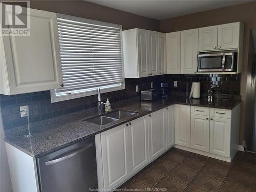 1765 Shawnee Road, Tecumseh, ON - Indoor Photo Showing Kitchen With Double Sink With Upgraded Kitchen