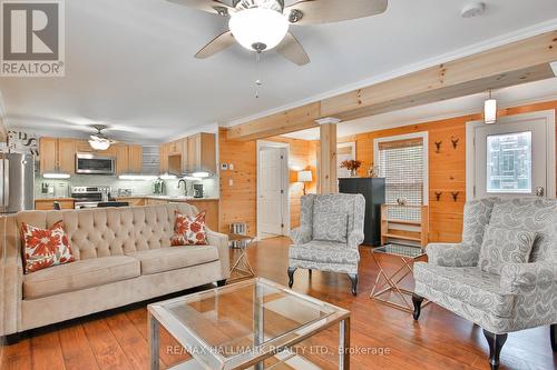 73 Redcap Beach Lane, Kawartha Lakes, ON - Indoor Photo Showing Living Room