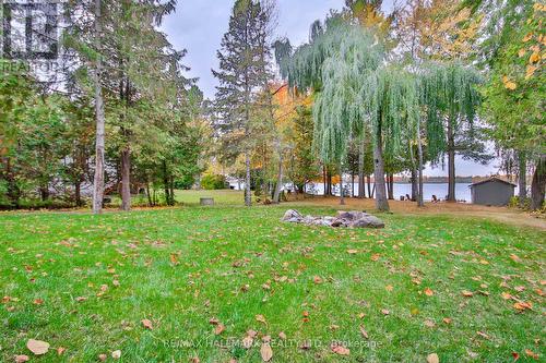 73 Redcap Beach Lane, Kawartha Lakes, ON - Outdoor