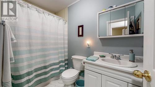 24 Dorset Street, St. John'S, NL - Indoor Photo Showing Bathroom