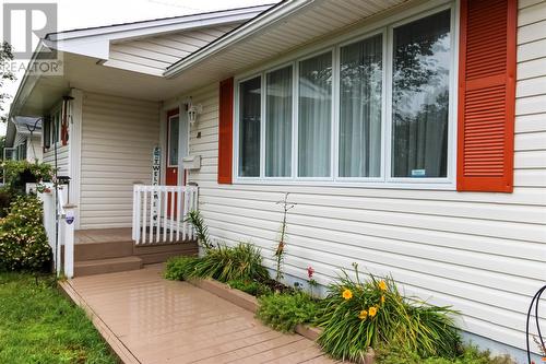 24 Dorset Street, St. John'S, NL - Outdoor With Deck Patio Veranda