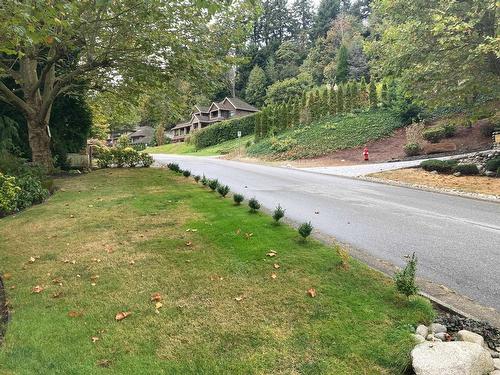 Bsmt 13520 55A Avenue, Surrey, BC - Outdoor With View