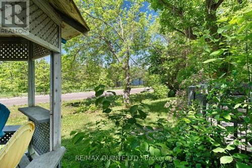 675 Haigs Reach Road, Trent Hills, ON - Outdoor