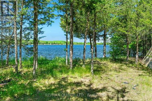 675 Haigs Reach Road, Trent Hills, ON - Outdoor With Body Of Water With View