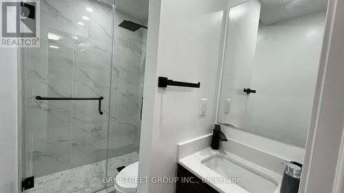 11 Ingersoll Lane, Richmond Hill, ON - Indoor Photo Showing Bathroom