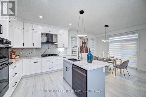 352 Chokecherry Crescent, Waterloo, ON - Indoor Photo Showing Kitchen With Double Sink With Upgraded Kitchen