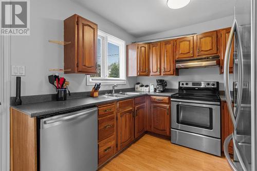 10 Sunset Street, St John'S, NL - Indoor Photo Showing Kitchen With Double Sink