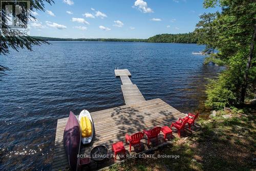 119 Fire Route 242, Galway-Cavendish And Harvey, ON - Outdoor With Body Of Water With View