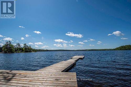 119 Fire Route 242, Galway-Cavendish And Harvey, ON - Outdoor With Body Of Water With View