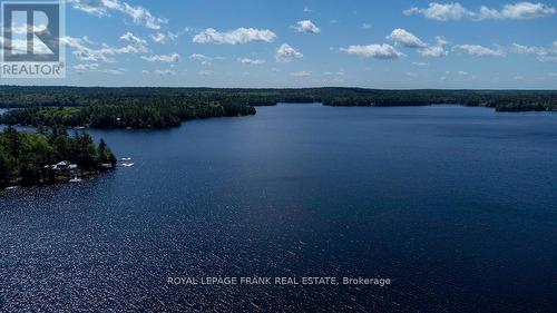 119 Fire Route 242, Galway-Cavendish And Harvey, ON - Outdoor With Body Of Water With View