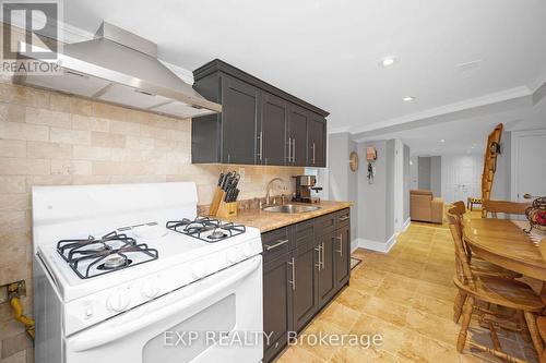 102 Manning Avenue, Toronto (Trinity-Bellwoods), ON - Indoor Photo Showing Kitchen