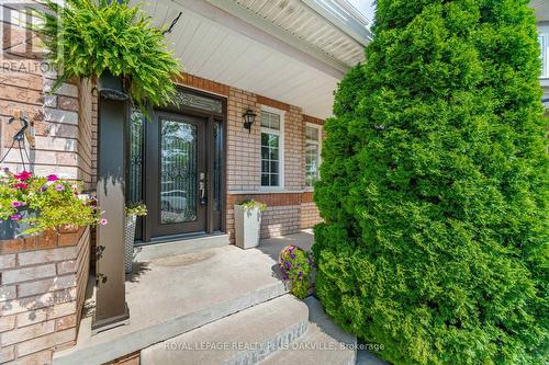 3541 Jorie Crescent, Mississauga, ON - Outdoor