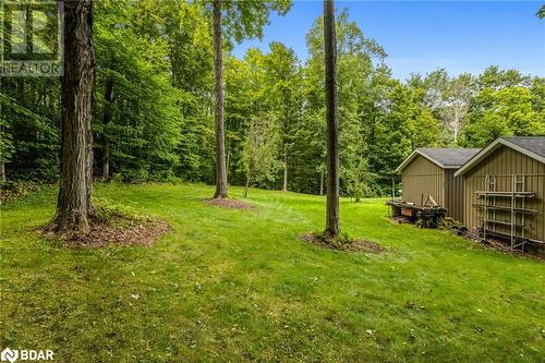 477 French Settlement Road, Tweed, ON - Outdoor